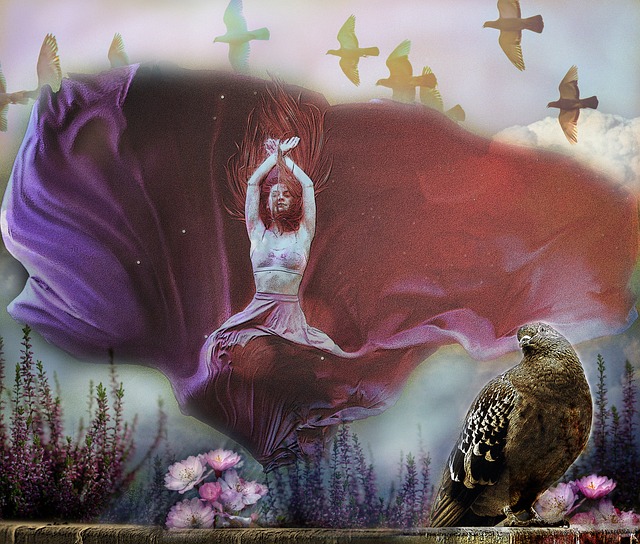 新与突破也 新与突破也